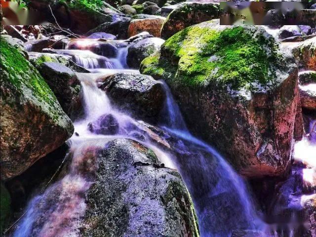 一顿浪漫晚餐
