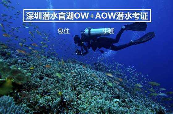 见缝插刀2